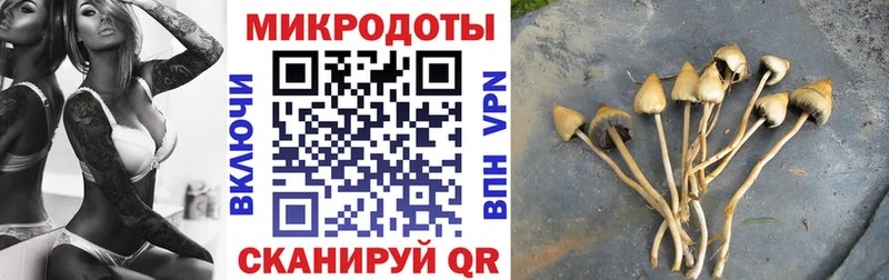 Псилоцибиновые грибы прущие грибы Константиновск